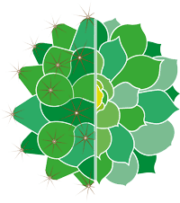 British Cactus and Succulent Society